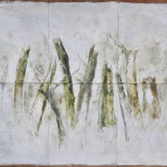 Les forêts