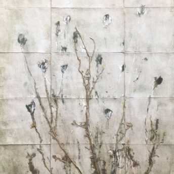 Les hautes herbes
