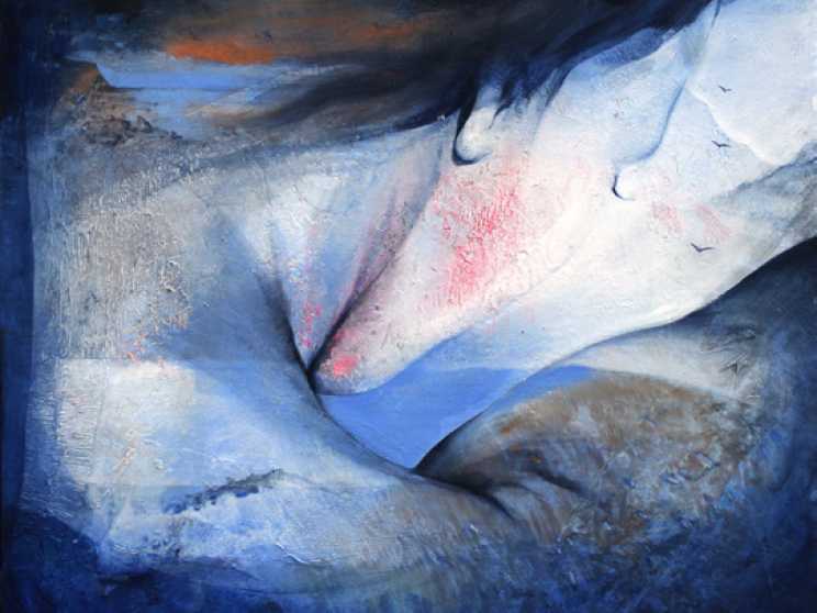 Cil oiseaux