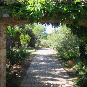 The sculpture garden